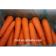 Farm Fresh Zanahoria Price Export Carrot Harvester